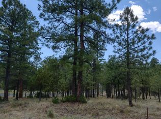 LOT 45&46 Katies Way, Happy Jack, AZ 86024