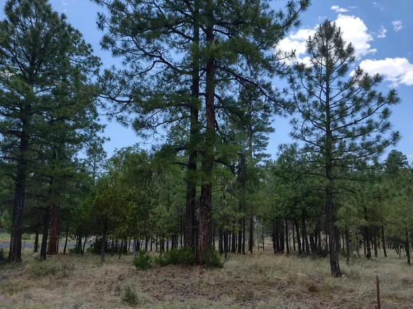 LOT 45&46 Katies Way, Happy Jack, AZ 86024