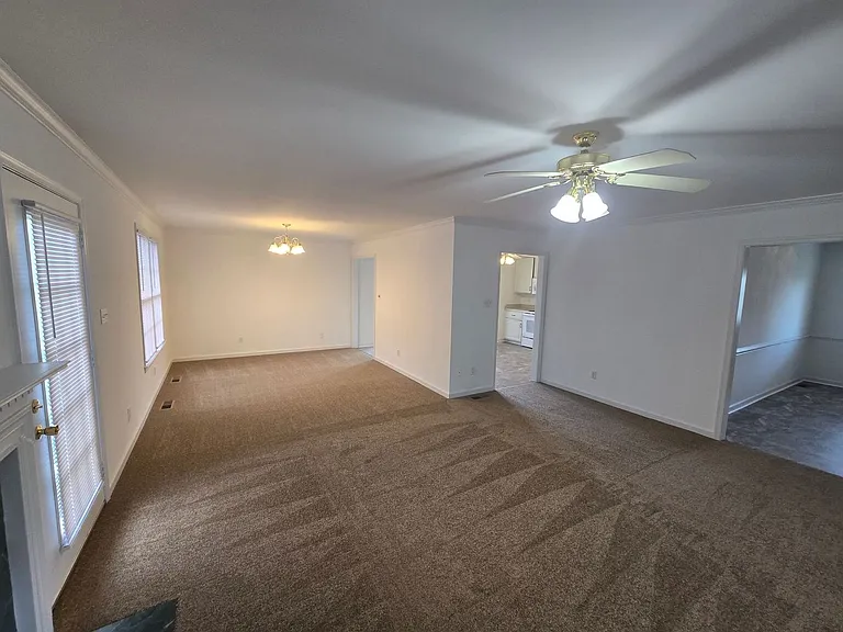 312 Shade Tree Dr — Photo 10