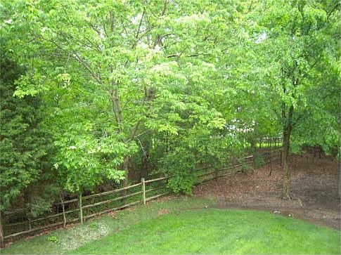 Backyard Backing to Trees