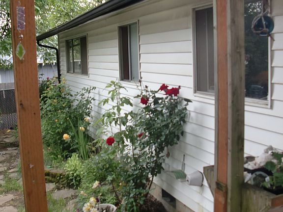 Partial view of backyard