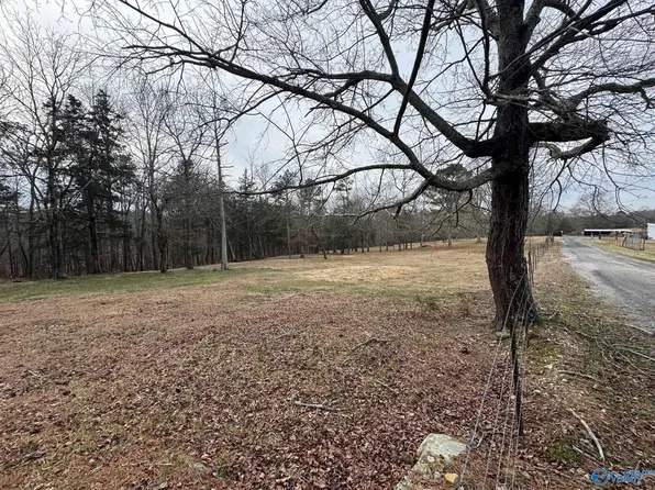 215 County Road 845, Henagar, AL 35978