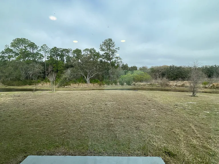 33367 Apricot Tree Ct — Photo 84