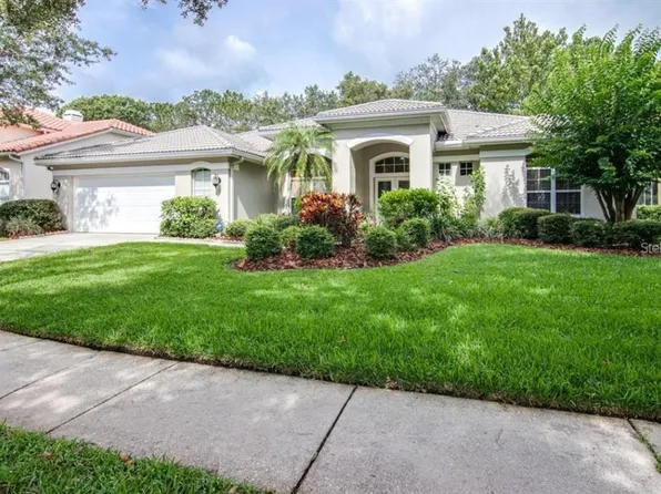 17818 Eagle Trace St, Tampa, FL 33647
