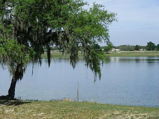 2nd image of 2423 W Nautilus Rd