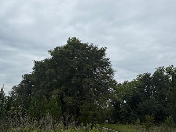 3rd image of 0 State Rd
