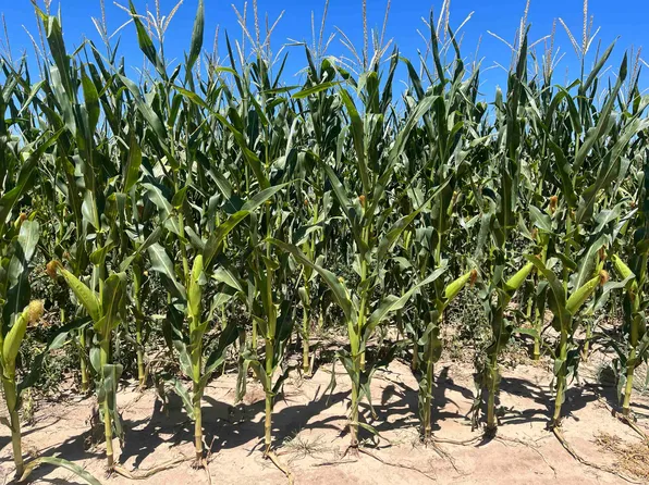 0 K Rd #6, Hugoton, KS 67951
