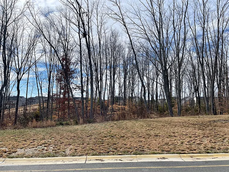 460 Coneflower Ln — Photo 42