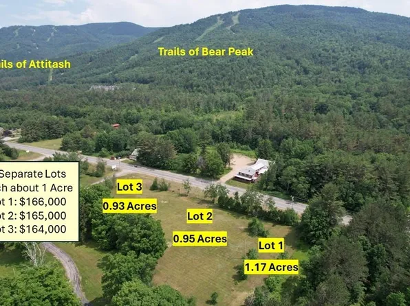 00 US Route 302 #3, Bartlett, NH 03812