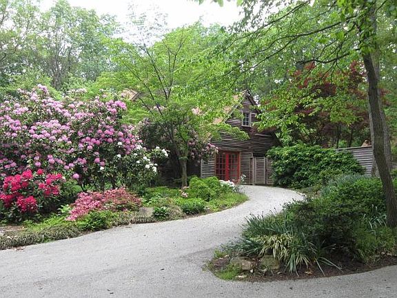 Flowers in Spring