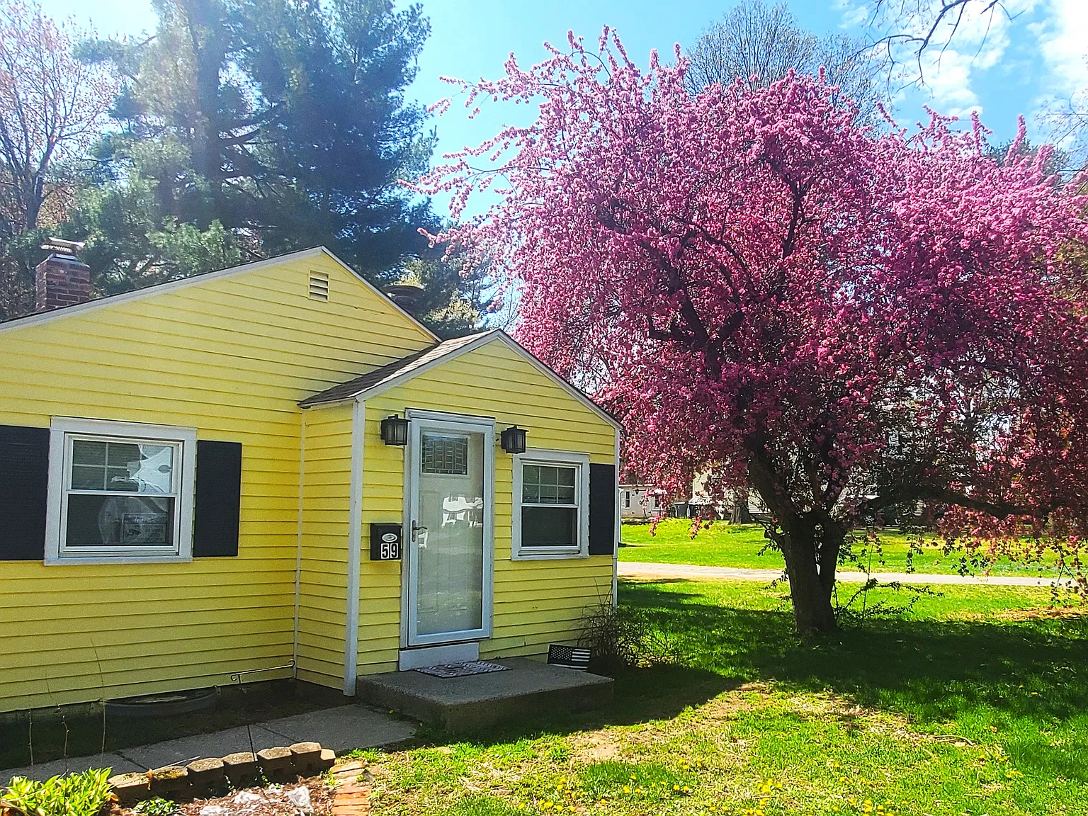 3 bed, 1172 sqft, $2,600 — Photo 2