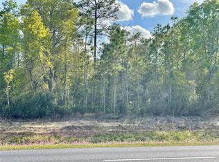 NW Highway 27 Lot 4, Williston, FL 32696