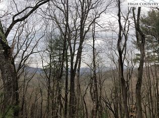 LOT 218 Lakeside Dr, Mc Grady, NC 28649