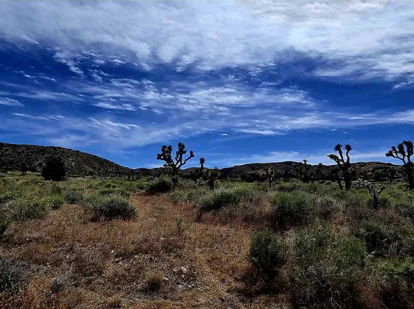 8900 E Ave W #12, Littlerock, CA 93543