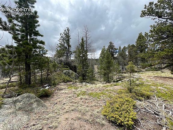 4th image of 228 Alpine Dr