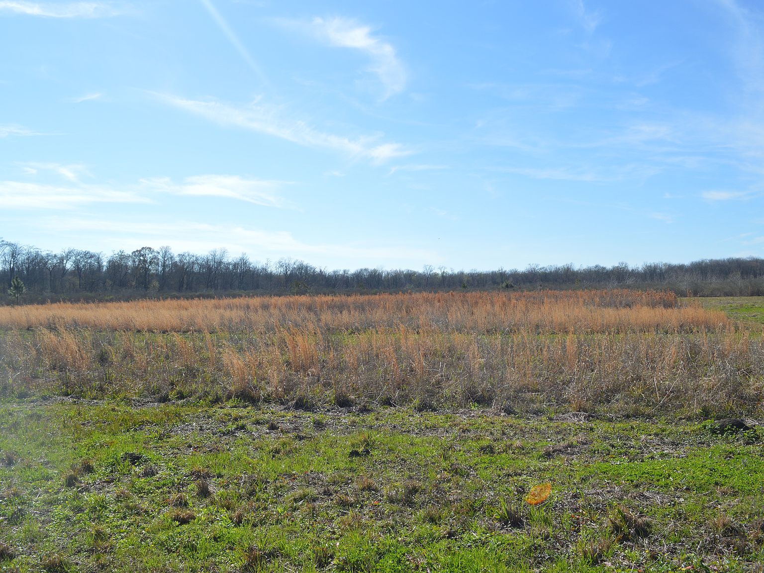 Dearing Ln LOT WP001, Fordoche, LA 70732 Zillow