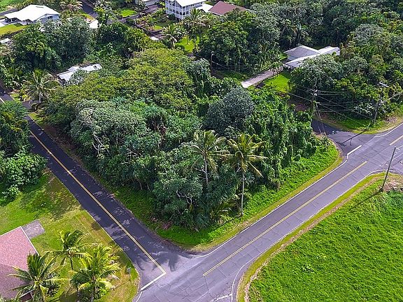 4th image of Puna Pkwy Lot 1882