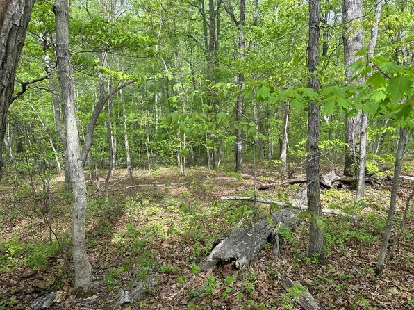 LOT 8 Lakefront Ln, Clarksville, VA 23927