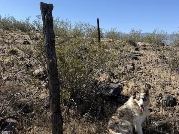 N Bryce Eden Rd, Eden, AZ 85543