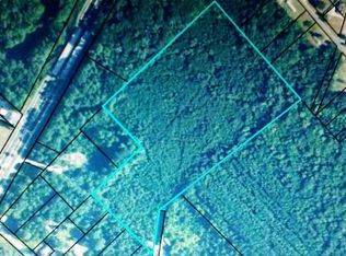 Barrett Rd, Mc Rae, GA 31055