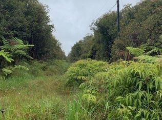 18 2045th #821, Volcano, HI 96785