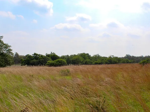 137 Lipan Loop, Harper, TX 78631