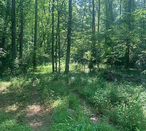 2nd image of Haney Dr