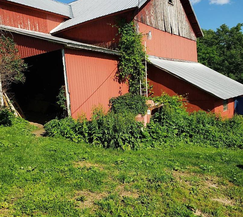 981 Carey Rd Franklin, NY, 13775 Apartments for Rent Zillow