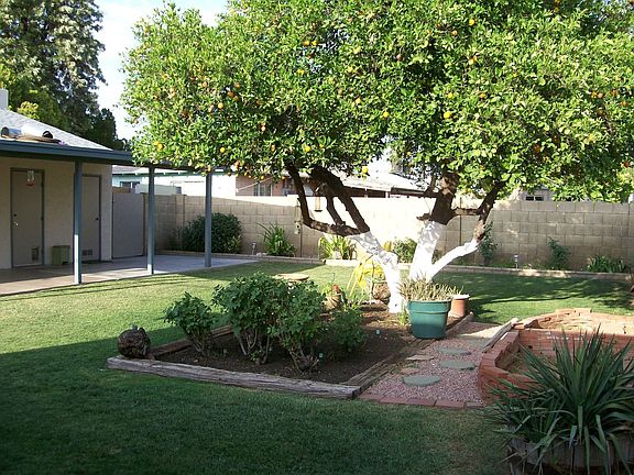 Gorgeous backyard!