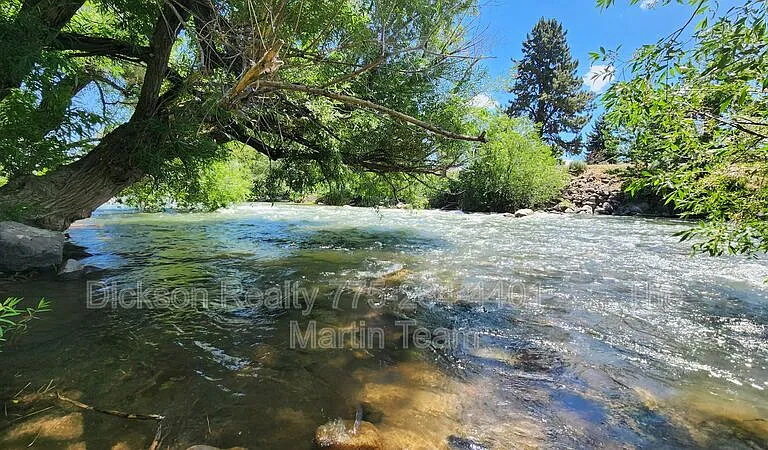 2300 Dickerson Rd #16 — Photo 19