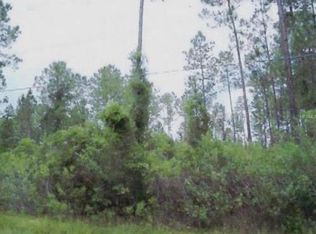 5178 Lime Ave, Bunnell, FL 32110