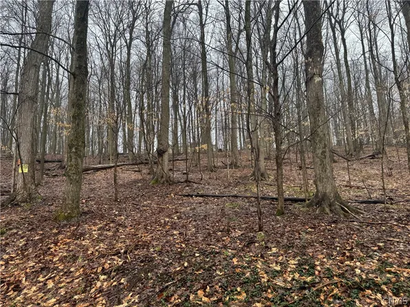 Nob Rd Lot 18, Utica, NY 13501