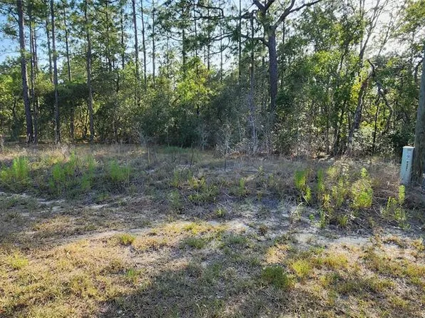 Lots 6 And 7 Sw Hillcrest Ave #6, Dunnellon, FL 34431