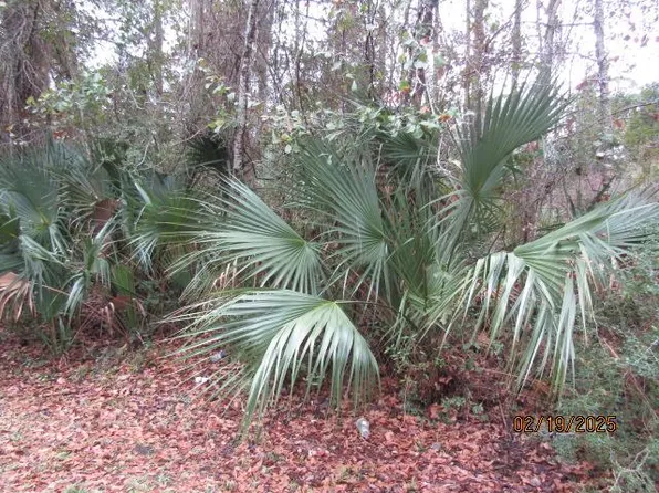 358 20th St, Apalachicola, FL 32320