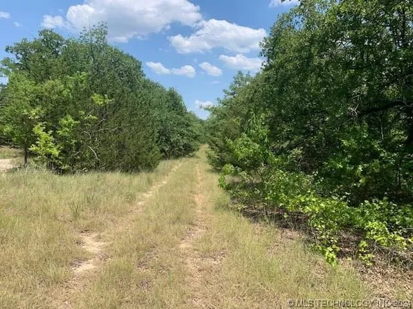 1 Chinaberry, Mead, OK 73449