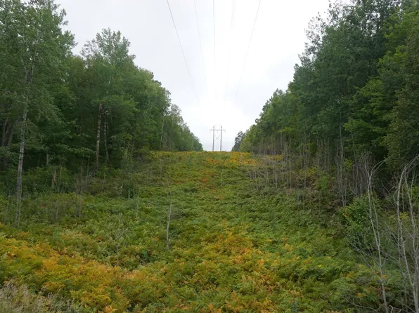 County Road 5, Carlton, MN 55718