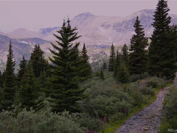 Forest Service Road 408, Alma, CO 80440
