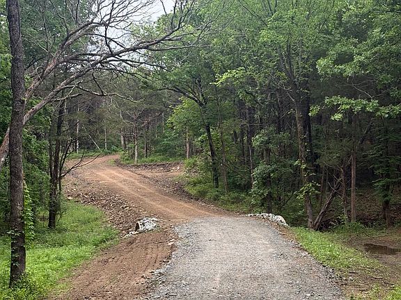 3rd image of Yellow Bull Rd