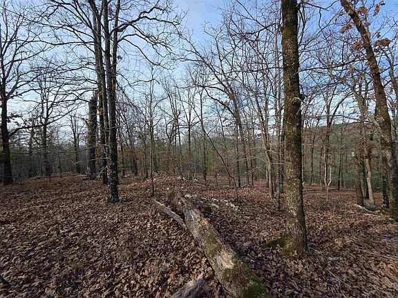 3rd image of (Undisclosed Address)