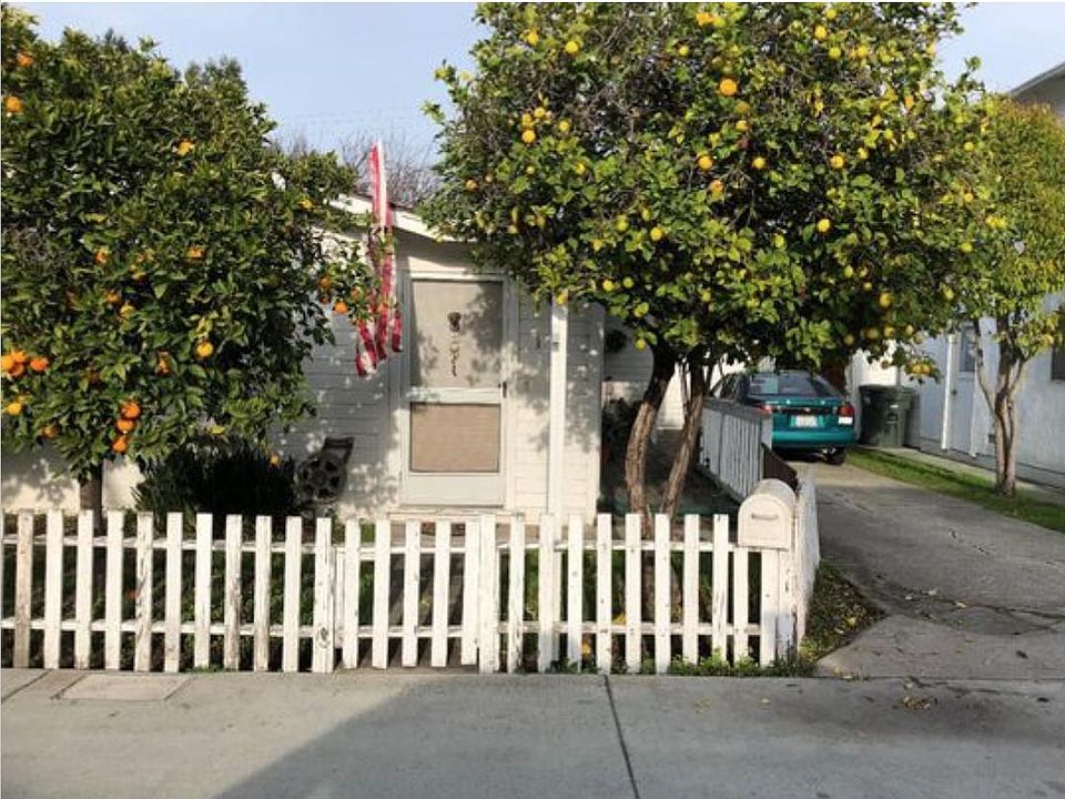 Front yard with mature lemon and orange trees