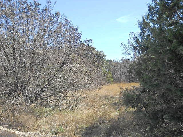 2nd image of 103 Apacheria Pass W