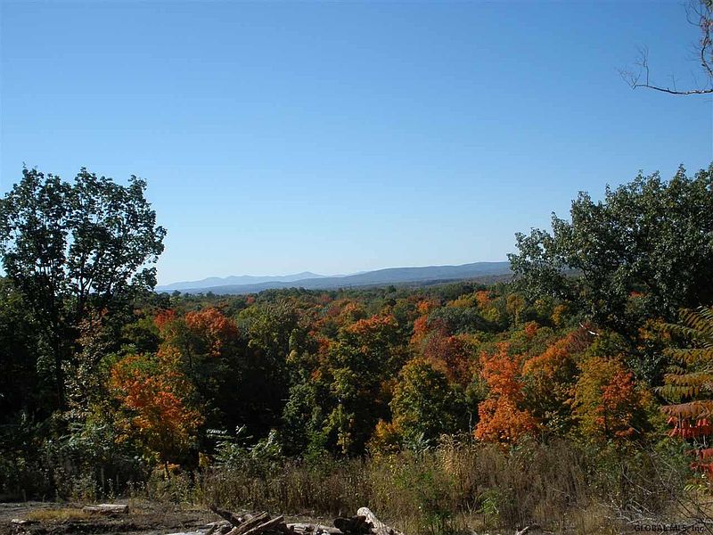 5th image of 170 RIDGE Road