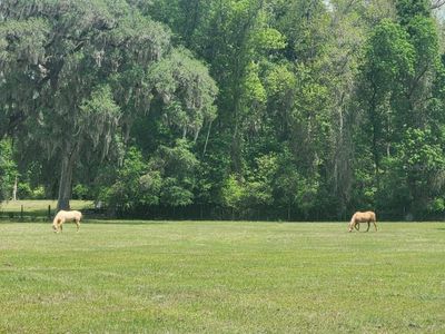 0 NE 132nd Pl #55, Anthony, FL, 32617