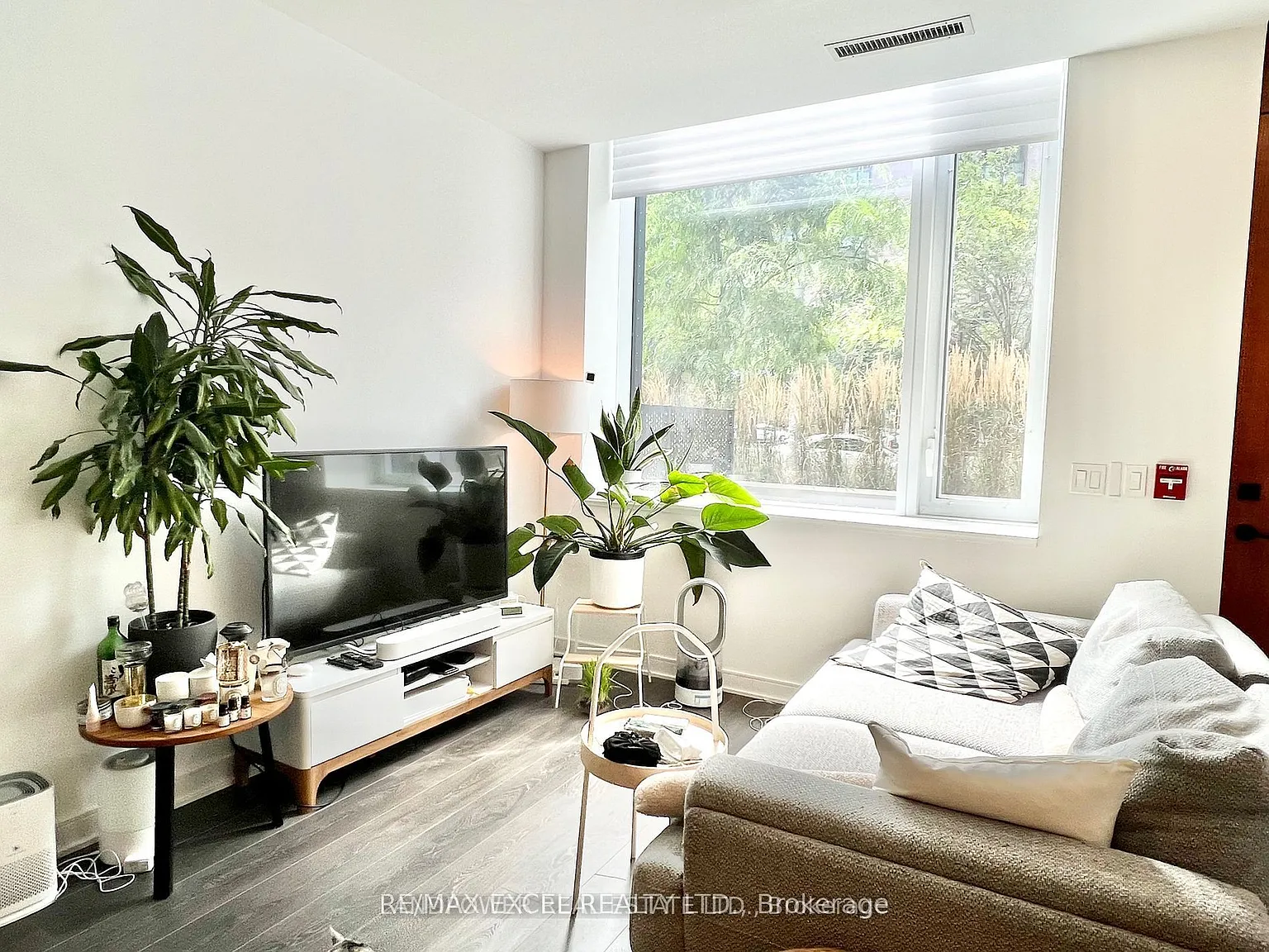 2 bed, $3,800 — Photo 4