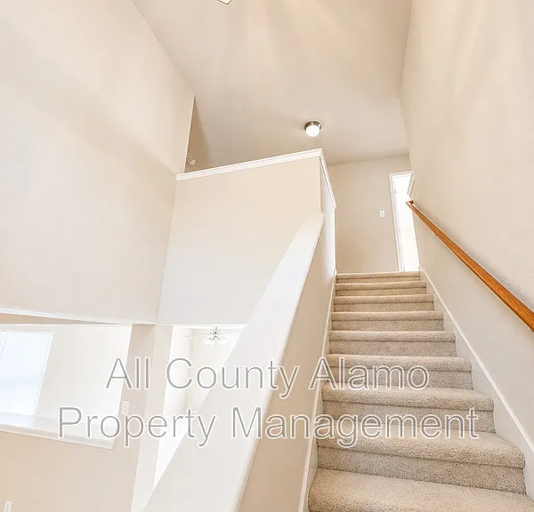 4919 Celtic Cor — Photo 13