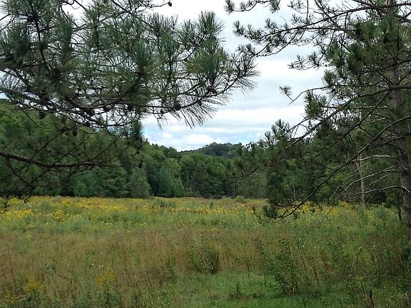 Valley bottom, north view