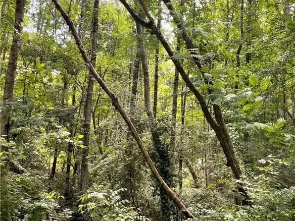 0 Ginger Dr #65, Jasper, GA 30143