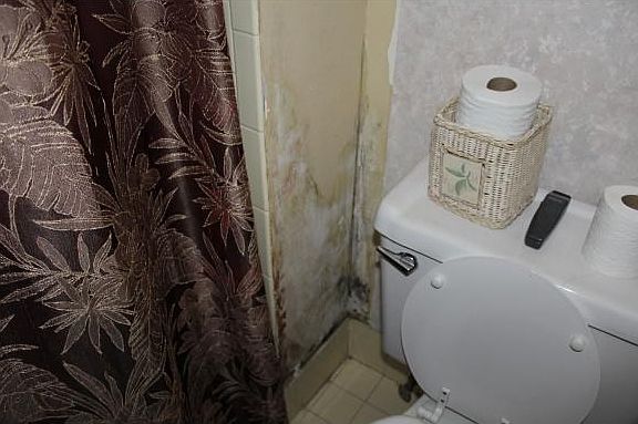 Bath Damage