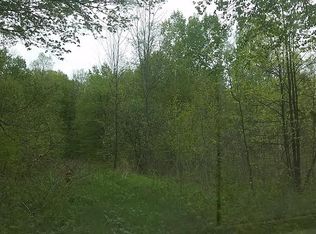 Buckner Rd, Elton, WI 54430