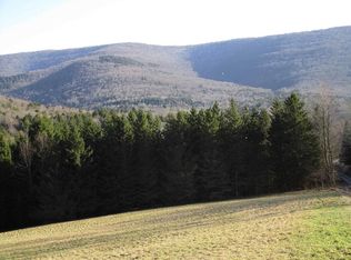 Ny State Rt 28, Margaretville, NY 12455